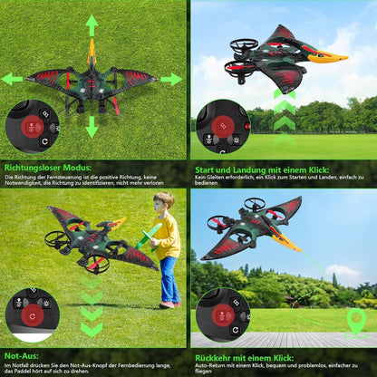 Dragon Remote Controlled Aeroplan